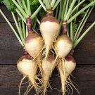 500 Seeds Helenor Rutabaga Seeds For Garden Planting Fresh For Garden