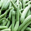 25 Seeds Sponge Gourd Squash Seeds For Garden Planting Fresh For Garden