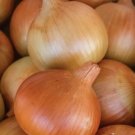 500 Seeds Patterson Onion Seeds For Garden Planting Fresh For Garden