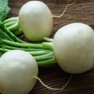 500 Seeds Mantanghong Radish Seeds For Garden Planting Fresh For Garden