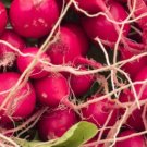 500 Seeds Cherriette Radish Seeds For Garden Planting Fresh For Garden