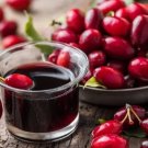 10 Seeds Cornelian Cherry Seeds For Garden Planting Fresh For Garden 10 Seeds Cornelian Cherry Seeds For Garden Planting Fresh For Garden