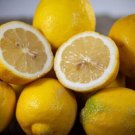 5 Seeds Bonnie Brae Lemon Seeds For Garden Planting Fresh For Garden