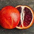 5 Seeds Blood Orange Seeds For Garden Planting Fresh For Garden