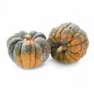 25 Seeds Black Futsu Pumpkin Seeds For Garden Planting Fresh For Garden