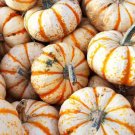 25 Seeds Sweet Dumpling Squash Seeds For Garden Planting Fresh For Garden 25 Seeds Sweet Dumpling Squash Seeds For Garden Planting Fresh For Garden