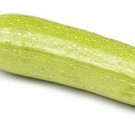 25 Seeds Magda Squash Seeds For Garden Planting Fresh For Garden