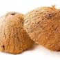 10 Pcs Natural Coconut Shells Free Shipping From Sri Lanka