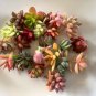 Mini Succulent Cuttings &acirc;�� 20 Assorted Unrooted Live Pieces for DIY Arrangements & Gifts