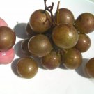 50 Carlos Muscadine Grape Cuttings – Bronze Variety, Organic Unrooted Vines, Vitis rotundifolia 50 Carlos Muscadine Grape Cuttings – Bronze Variety, Organic Unrooted Vines, Vitis rotundifolia
