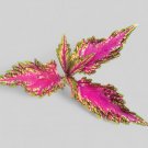 Coleus Rooted Cuttings – 10 Mixed Varieties Live Plants with Colorful Foliage Coleus Rooted Cuttings – 10 Mixed Varieties Live Plants with Colorful Foliage
