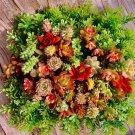 Assorted Succulent Cuttings – 12 Live Bare Root Varieties for Garden, Pots & Arrangements Assorted Succulent Cuttings – 12 Live Bare Root Varieties for Garden, Pots & Arrangements