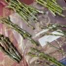 Mango Scions for Grafting – Fresh Mangifera indica Cuttings, Multiple Varieties Mango Scions for Grafting – Fresh Mangifera indica Cuttings, Multiple Varieties