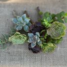 12 Succulent Cuttings | 6 Varieties Mixed Pack for Arrangements, Fairy Gardens & Gifts