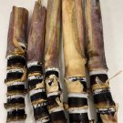 Soft Chew Black Sugar Cane Cuttings | Fresh Saccharum officinarum Plant Stalks