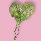 Heart-Shaped Succulent Cuttings Arrangement | Live Mixed Succulent Gift or Decor
