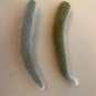 Monkey Tail Cactus Cutting &acirc;�� 8&acirc;�� End Cutting of Cleistocactus colademononis Succulent Plant