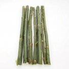 50 Austree Hybrid Willow Tree Cuttings – Fast Growing Shade & Windbreak Trees Ready to Root