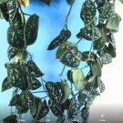 Silver Satin Pothos – 12” Rooted Scindapsus pictus Vine Variegated Houseplant Cutting