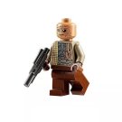 Weequay Guard Custom Minifigure Toys