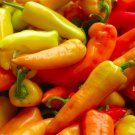 TSN 30 SEEDS HUNGARIAN SWEET WAX PEPPER SEEDS FRESH GARDEN TSN 30 SEEDS HUNGARIAN SWEET WAX PEPPER SEEDS FRESH GARDEN