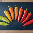 TSN 30 SEEDS HUNGARIAN HOT WAX PEPPER SEEDS FRESH GARDEN TSN 30 SEEDS HUNGARIAN HOT WAX PEPPER SEEDS FRESH GARDEN