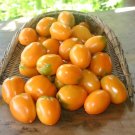 TSN 50 SEEDS ORANGE ROMA TOMATO SEEDS FRESH VEGETABLE GARDENS