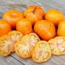 TSN 50 SEEDS AZOYCHKA TOMATO SEEDS FRESH VEGETABLE GARDENS