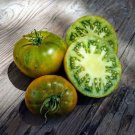 TSN 50 SEEDS TASTY EVERGREEN TOMATO SEEDS FRESH VEGETABLE GARDENS