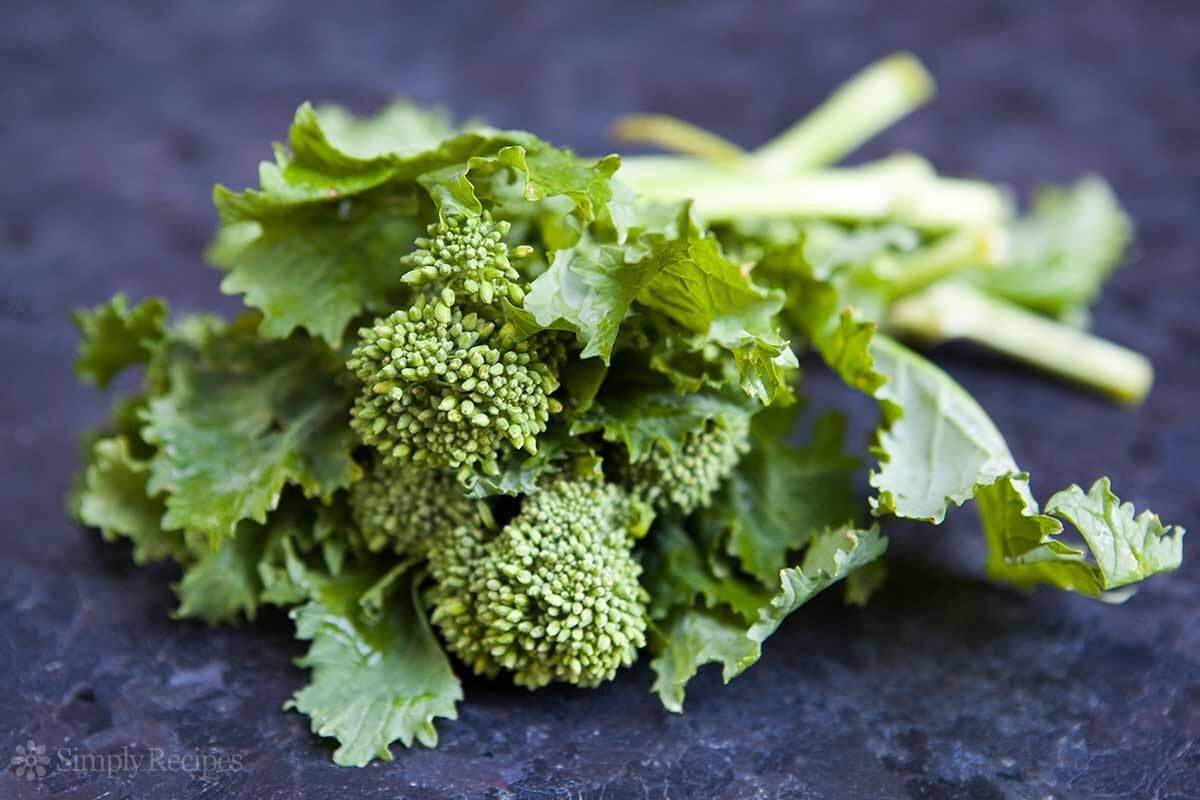 TSN 250 SEEDS EARLY FALL RAPINI BROCCOLI SEEDS FRESH GARDENS