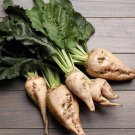 TSN 200 SEEDS SUGAR BEET SEEDS FRESH GARDENS TASTE VERY GOOD