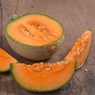 TSN 50 SEEDS TOP MARK MELON SEEDS FRESH FOR GARDENS TSN 50 SEEDS TOP MARK MELON SEEDS FRESH FOR GARDENS