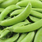 Sugar Snap Pea Seeds – 140 Seeds – Vegetable Garden Planting
