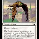MTG - Ravnica - Courier Hawk x4 - NM - Magic the Gathering