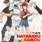Anime DVD Hataraku Saibou Season 1+2 + Black (Vol.1-34 End) + Movie + OVA English Dub