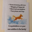 Congratulations Dog Adoption Greeting Card, 4.25" x 5.5", A2 Size, Blank Inside Congratulations Dog Adoption Greeting Card, 4.25" x 5.5", A2 Size, Blank Inside