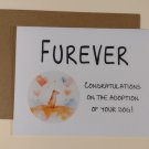 Congratulations Furever Dog Adoption Greeting Card, 4.25" x 5.5", A2 Size, Blank Inside Congratulations Furever Dog Adoption Greeting Card, 4.25" x 5.5", A2 Size, Blank Inside