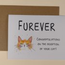 Congratulations Furever Cat Adoption Greeting Card, 4.25" x 5.5", A2 Size, Blank Inside Congratulations Furever Cat Adoption Greeting Card, 4.25" x 5.5", A2 Size, Blank Inside