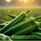200 Seeds Okra Clemson Garden Vegetable Heirloom Gumbo Nongmo