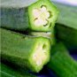 200 Seeds Okra Clemson Garden Vegetable Heirloom Gumbo Nongmo