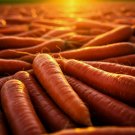 2000 Seeds Carrot Spring Vegetable Garden Nongmo Sweet Heirloom Salads