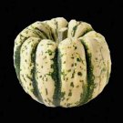 20 Seeds Sweet Squash Spring Vegetable Tasty Pumpkin Tasty Heirloom Nongmo
