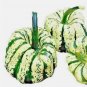 20 Seeds Sweet Squash Spring Vegetable Tasty Pumpkin Tasty Heirloom Nongmo