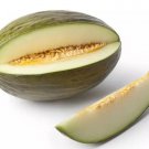 12 Seeds Early Valencia Melon Seeds Valencia Winter Honeydew Heirloom Organic