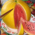 24 Seeds Golden Midget Watermelon Seeds Mini Heirloom Non Gmo Organic