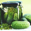 100 Seeds Boston Pickling Cucumber Seeds Nongmo Heirloom