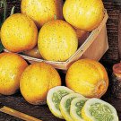 50 Seeds Lemon Cucumber Seeds Heirloom Non Gmo Rare