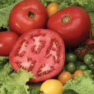 120 Seeds Steak Tomato Seeds Beefsteak Heirloom Organic Tasty