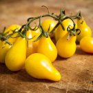 10 Seeds Yellow Pear Tomato Seeds Heirloom Non Gmo Organic