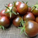 120 Seeds Brown Berry Tomato Seeds Heirloom Organic Rare